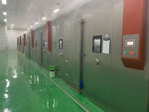 Aglio Nero Aromatizzato in Confezione Grande, Essiccato AD per Snack Salutari per la Perdita di Peso - Product Image 6