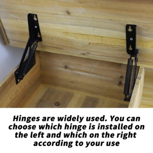 Modern Steel Iron <b>Spring</b> Hinge Scissor for Furniture <b>Doors</b> Kitchen Bathroom School Industrial Pallet Hospital Use Cabinet Hinge - Product Image 3