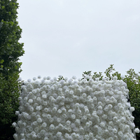 Mur de fleurs artificielles 5D en soie rouge moderne, écologique et durable, pour décorations de mariage en extérieur, accessoires de photographie, commerce extérieur