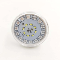 Nouvelle Arrivée Ampoule Cabochon LED RGBW E14 60mm pour Fête Foraine, Lumières Pixel Automatiques AC24V pour Parc d'Attractions, IP65, Garantie 2 Ans, PVC 5050+2835