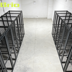 Casilleros de Almacenamiento Modulares de Acero <span class=keywords><strong>para</strong></span> Edificios de Apartamentos, Solución Segura de Almacenamiento de Paquetes <span class=keywords><strong>para</strong></span> Múltiples Unidades <span class=keywords><strong>para</strong></span> Desarrolladores Inmobiliarios - Product Image 5