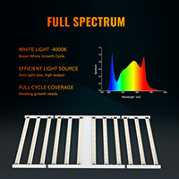Le plus récent 1200w 12 Bar Light avec LM281B / LM301B lampe de croissance des semis à spectre complet Led élèvent la lumière pour la culture de plantes d'intérieur