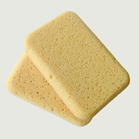 Éponge en pâte de bois époxy colorée pour le nettoyage des joints et la construction, outils de nettoyage