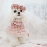 Nouveau designer de luxe rose tweed tissu laine Cape ensemble vêtements pour animaux de compagnie trois pièces manteau collier de chien pulls chat chiot robes
