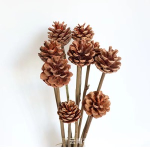Ramo de cono de pino, flores <span class=keywords><strong>preservadas</strong></span> para bebés, flores secas de Color blanco, respiración de bebé para decoración de bodas o casas - Product Image 1