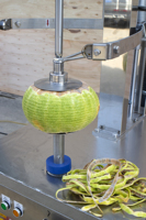 Automatische Wax Kalebas Meloen Pompoen Ananas Kokos Schilmachine Fruit Dunschiller Machine
