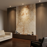 Dalles de marbre Calacatta Monet Beige, pierre naturelle, pour mur de bureau, mur de villa, sol et plan de travail