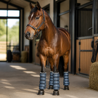 Fournitures équestres, protections de jambes pour chevaux, souples, absorbant les chocs, résistantes aux impacts, respirantes, bottes d'équitation, bandages pour jambes d'équidés