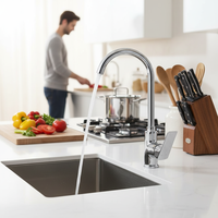 Robinet de cuisine monocommande moderne en acier inoxydable, à poser sur évier, finition plaquée, certifié CUPC, pour hôtels