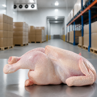 Fournisseur en gros de poulets entiers pour la restauration, les restaurants, les cuisines commerciales et la distribution en vrac