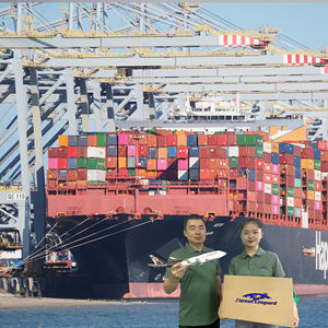 Servicios de Consolidación de Contenedores, Agencia de Transporte/Agentes de Despacho de Aduanas, de China a EE. UU./Canadá/Reino Unido/Bélgica - Product Image 2