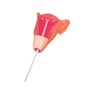 รูปแบบการฝึกอบรมอุปกรณ์คุมกำเนิดในมดลูกแบบ ADA-F9E - Product Image 1