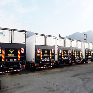 Puerta Trasera de Acero de Alta Resistencia con Cilindro Hidráulico para Camiones y Furgonetas - Plataforma de Carga/Descarga - Product Image 4