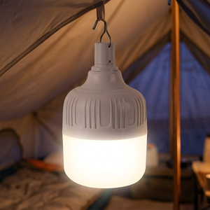 LED USB Rechargeable T <b>Bulb</b> DC5V-6V 60W Diameter 80mm Three Dimmable <b>White</b> Housing PP Material 1200mAh Battery SMD2835 Chips - Product Image 4