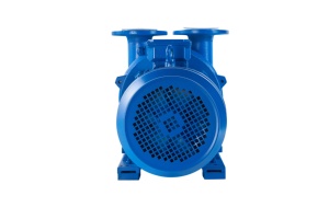 Zibo Boshan Vacuum Pump 5hp 7hp 10hp 0.097MPa Big <b>Water</b> Ring air Vacuum Pump Station - Product Image 6