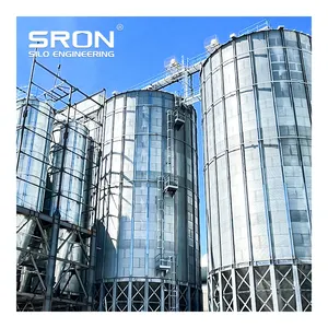 SRON küçük kapasiteli Silo 20 ton 30 ton 50 ton hayvan besleme hattında tahıl silosu sığır besleme depolama silosu