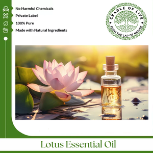 El aceite de loto proviene de la planta de loto que tiene flores cónicas y una serie de hojas circulares. - Product Image 3