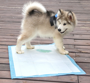 Venta al por mayor altamente absorbente desechable a prueba de fugas de <span class=keywords><strong>mascotas</strong></span> Mat Dog Floor <span class=keywords><strong>Pañales</strong></span> - Product Image 3