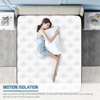 Mobilier de maison moderne Matelas queen en mousse à mémoire de forme Lit double avec ressort en mousse pour chambre à coucher appartement hôtel