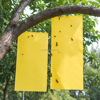 Pièges à insectes collants jaunes solides hautement efficaces, adhésifs double face, faciles à utiliser, pour le contrôle des nuisibles dans les pelouses, format US.