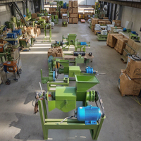 Automatisch Kleinschalig Schroefpersontwerp Voor Rode Palmolie-Extractie Nieuwe Staat Hete Persmachine