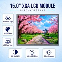 Módulo LCD TFT XGA BOE DV150X0M-N12 de 15.0 Pulgadas, 1024x768 EDP, 350cd/m2, ADS, 89° de Ángulo de Visión, Temperatura Amplia -20~70°C, Panel de Pantalla Industrial