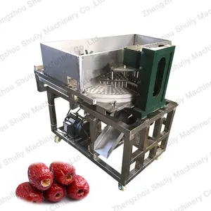เครื่องแยกเมล็ดมะกอกอุตสาหกรรมจากเอลวา - Product Image 1