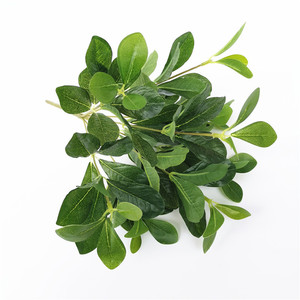 Rami <span class=keywords><strong>di</strong></span> albero <span class=keywords><strong>di</strong></span> simulazione foglie <span class=keywords><strong>di</strong></span> ramo <span class=keywords><strong>di</strong></span> betulla foglie <span class=keywords><strong>di</strong></span> <span class=keywords><strong>pioppo</strong></span> foglie Decorative paesaggistico finto fogliame giardino progetto paesaggistico - Product Image 4