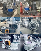 Usine de fabrication de granulés de biomasse, machine à granulés de bois, équipement de production de granulés de paille de riz