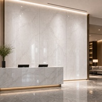 Panneau mural en PVC UV imitation marbre blanc onyx WYRAX 1220x2440mm 5mm, imperméable, pour rénovation de couloir d'appartement