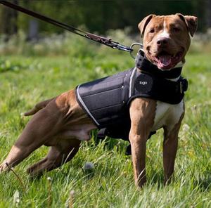 Harnais pour chien Gilet de sécurité Training Big Dog Harness il se vend <span class=keywords><strong>vraiment</strong></span> comme des petits pains - Product Image 6