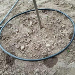 เทปน้ำหยดสำหรับต้นไม้ ระบบน้ำดี ป้องกันการอุดตัน <span class=keywords><strong>ราคา</strong></span>ถูกที่สุด - Product Image 1