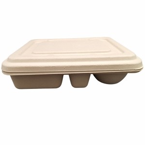 Bandeja de Alimentos con Compartimentos de Bagazo de Caña de Azúcar 100% Biodegradable, Tapa <span class=keywords><strong>BIOPACK</strong></span> Tray45, Tamaño y Logotipo Personalizables, Rectángulo Trasero - Product Image 3