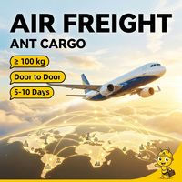 Agente de Transporte de Carga Aérea, Envío desde China, Servicio Logístico DDU Puerta a Puerta, Envío Aéreo Exprés, Seguro de Carga