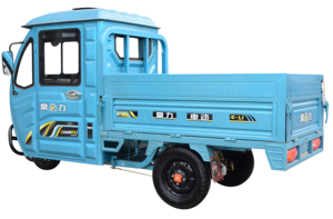 รถจักรยานยนต์โดยสาร CHANGLI 1000W ราคาประหยัด รถใหม่ รถสามล้อสำหรับผู้ใหญ่ - Product Image 3