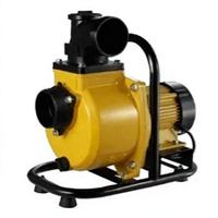 Promotion : Pompe à eau solaire de surface DC Lanxiang LXXP-25 0.5HP 350W avec sortie 1 pouce, contrôleur MPPT et moteur sans balais pour l'irrigation
