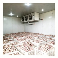 Chambre froide modulaire (positive/négative) pour fruits et viandes