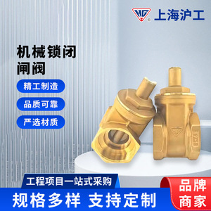 Válvula de Compuerta de Latón Hg Shanghai Workers DN15 a DN50, Válvula de Corte de Una Sola Vía para Agua, Vapor, Aire y Líquidos No Corrosivos - Product Image 5