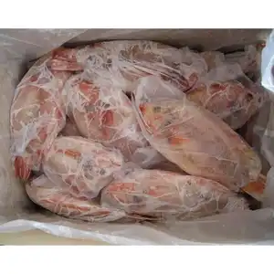 China wholesale factory precio de tilapia roja all size frozen whole red tilapia price frozen red tilapia fish