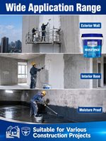 Agent Fixateur de Sable, Agent Anti-Gravure, Poudre Renforçante pour Substrat Mural pour Projets de Construction