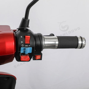Tricicli per veicoli elettrici a tre ruote per motocicli elettrici Cargo Mini Dumper caricatore elettrico a motore differenziato 1.5 - Product Image 4