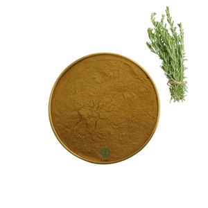 Rifornimento della fabbrica 10% 50% rosmarino foglia di estratto di acido ursolico in polvere per uso alimentare acido ursolico per la salute - Product Image 1