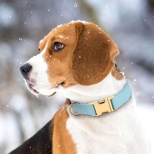 Correa de Seguridad para Perros, de Nailon Resistente, de Lujo, Táctica, Personalizada, al por Mayor - Product Image 2
