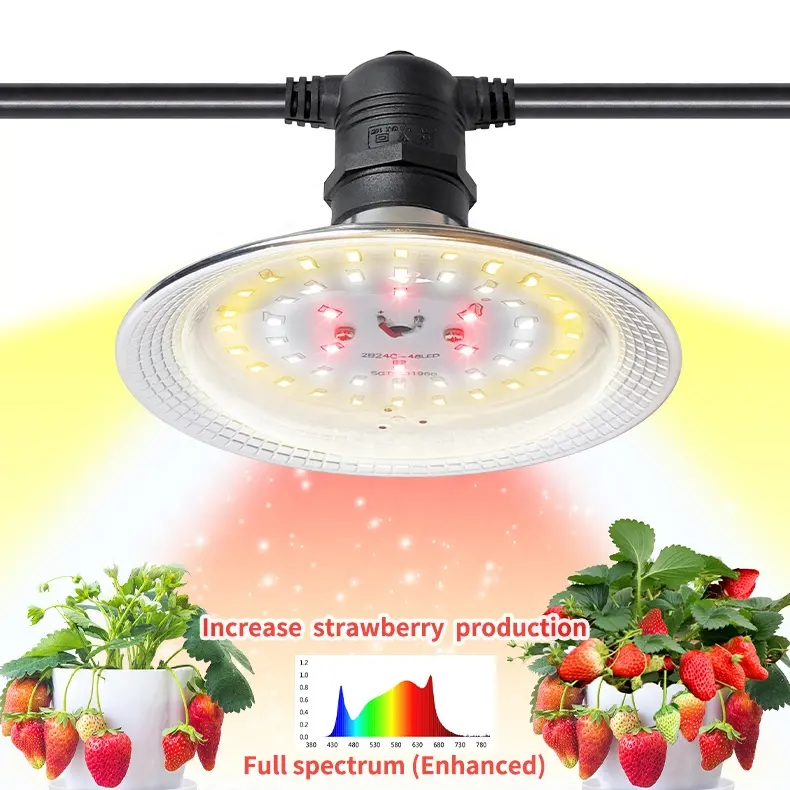 Gewächshaus Indoor Erdbeer Pflanze Licht Beeren und Tomaten 15W 90W Simuliertes Sonnenlicht Spektrum LED Grow Light