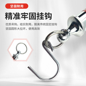 Shuangjie Tubular Force <b>Gauge</b> 10N 20N 30N 50N 100N 200N 300N 500N 1000N Stainless Steel Spring Scale Tension Tester - Product Image 3