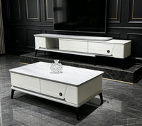 Ensemble de meuble TV et table basse de luxe pour salon, design moderne et minimaliste, idéal pour petit appartement