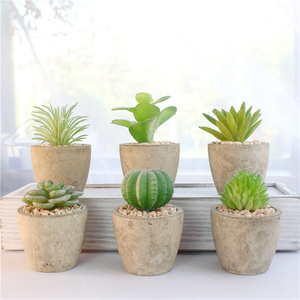 Mini Suculenta Artificial en Maceta de Papel Gris con Componentes de Plástico para Decoración de Interiores/Exteriores, Hogar u Oficina (Color Personalizable) - Product Image 1