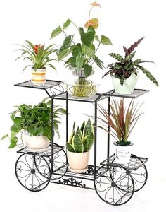 Support pour plante en fil métallique moderne à 6 niveaux abordable avec 4 roues design étagère pour pot de fleurs pour jardin à bas prix - Product Image 1