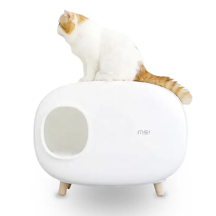 Heiß in Europa Großhandel Haustier Reinigung beiliegende Ausbildung Katze Katzen toilette Mode und leichte Toiletten für Katzen hohe Qualität