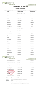 Creatina Monoidrato 200 Mesh CAS 6020-87-7 Produttore di <span class=keywords><strong>Integratori</strong></span> all'Ingrosso ISO HACCP - Product Image 2